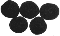 Wabi Logo